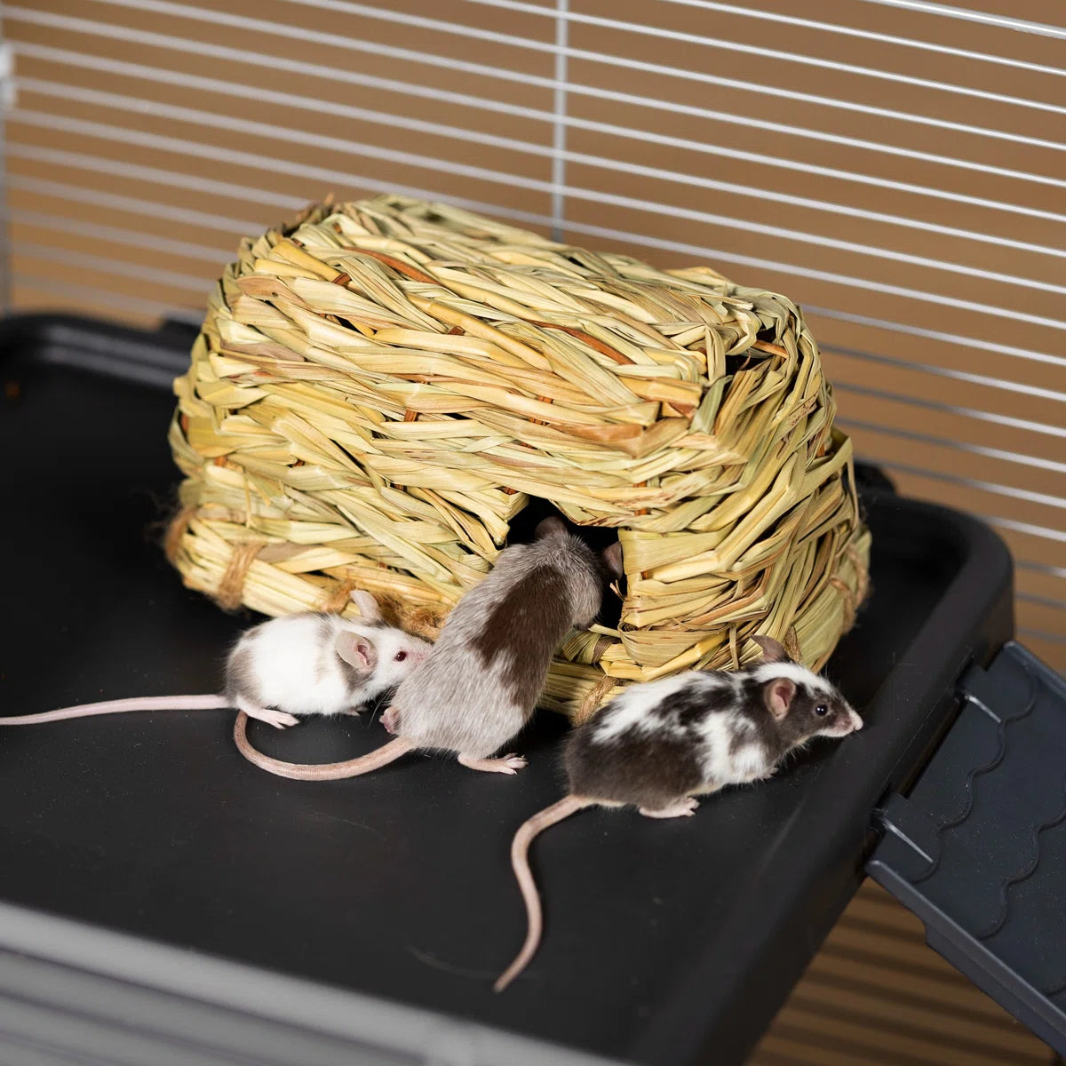 Grass Hut Toy - Smal