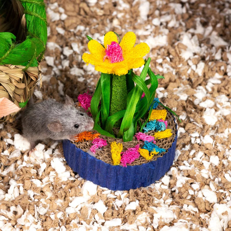 Succulent MiniGarden Small Animal Toy